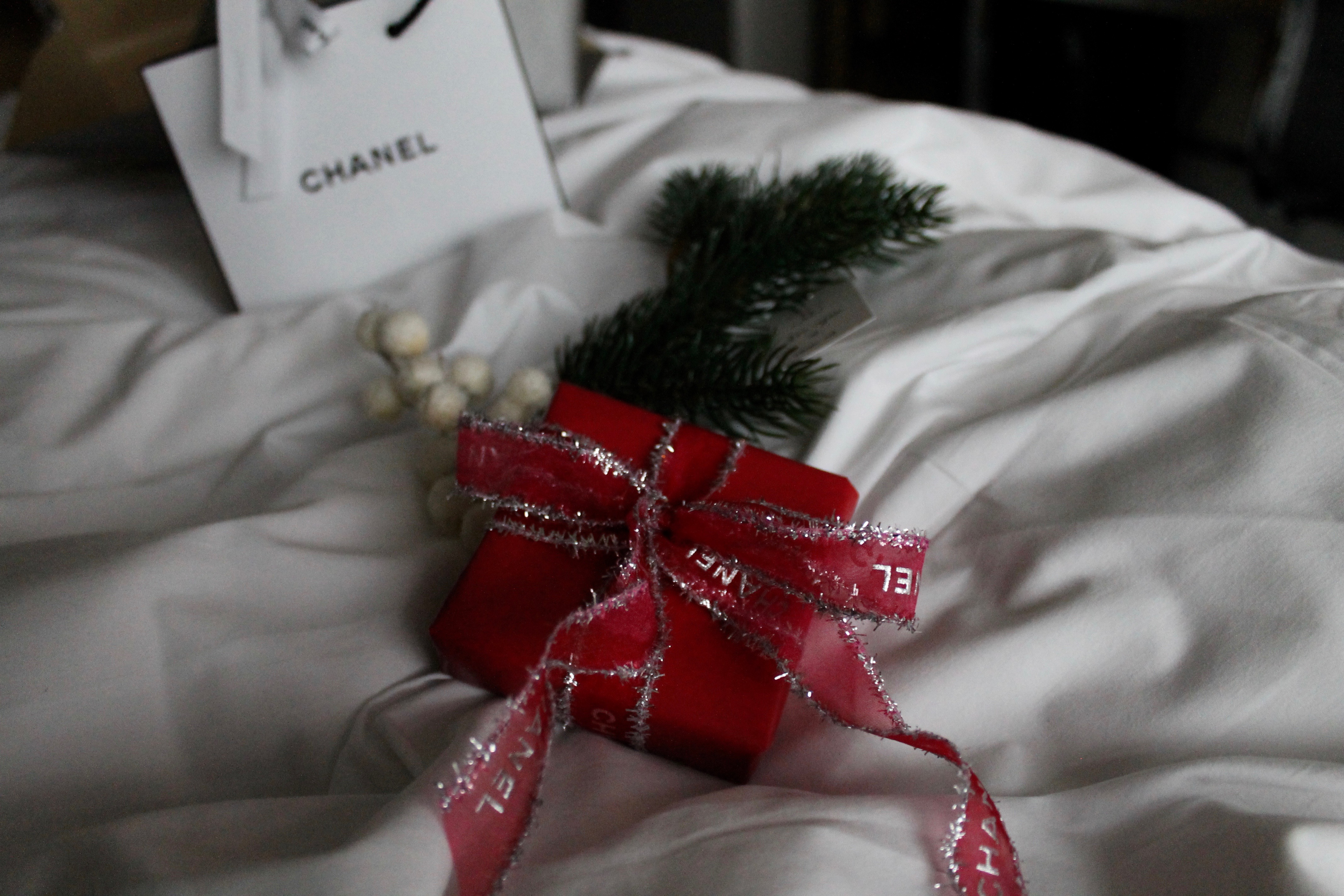 The Most Acceptable Christmas Present: Anything Chanel – ENDOXIST