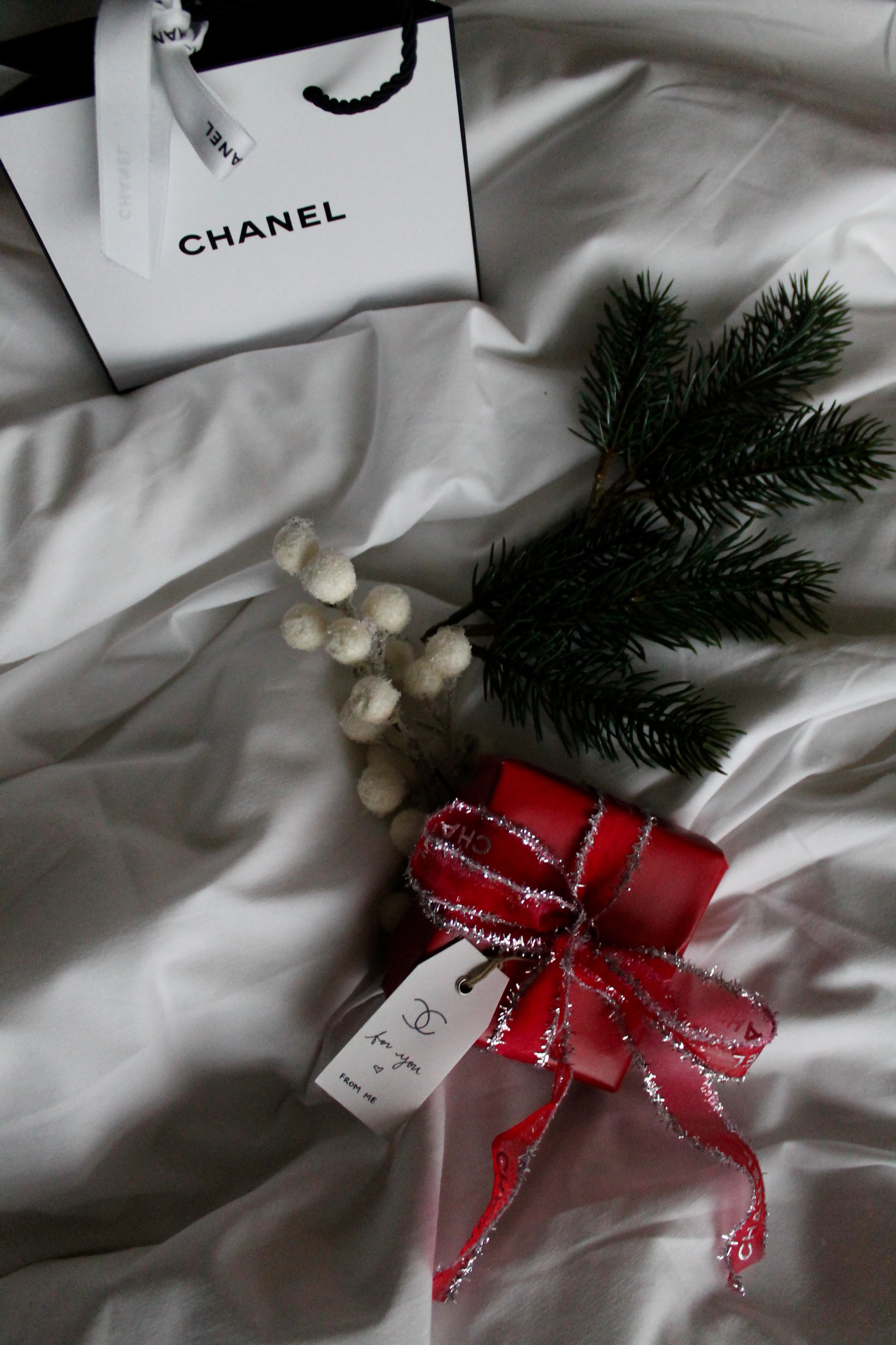The Most Acceptable Christmas Present: Anything Chanel – ENDOXIST