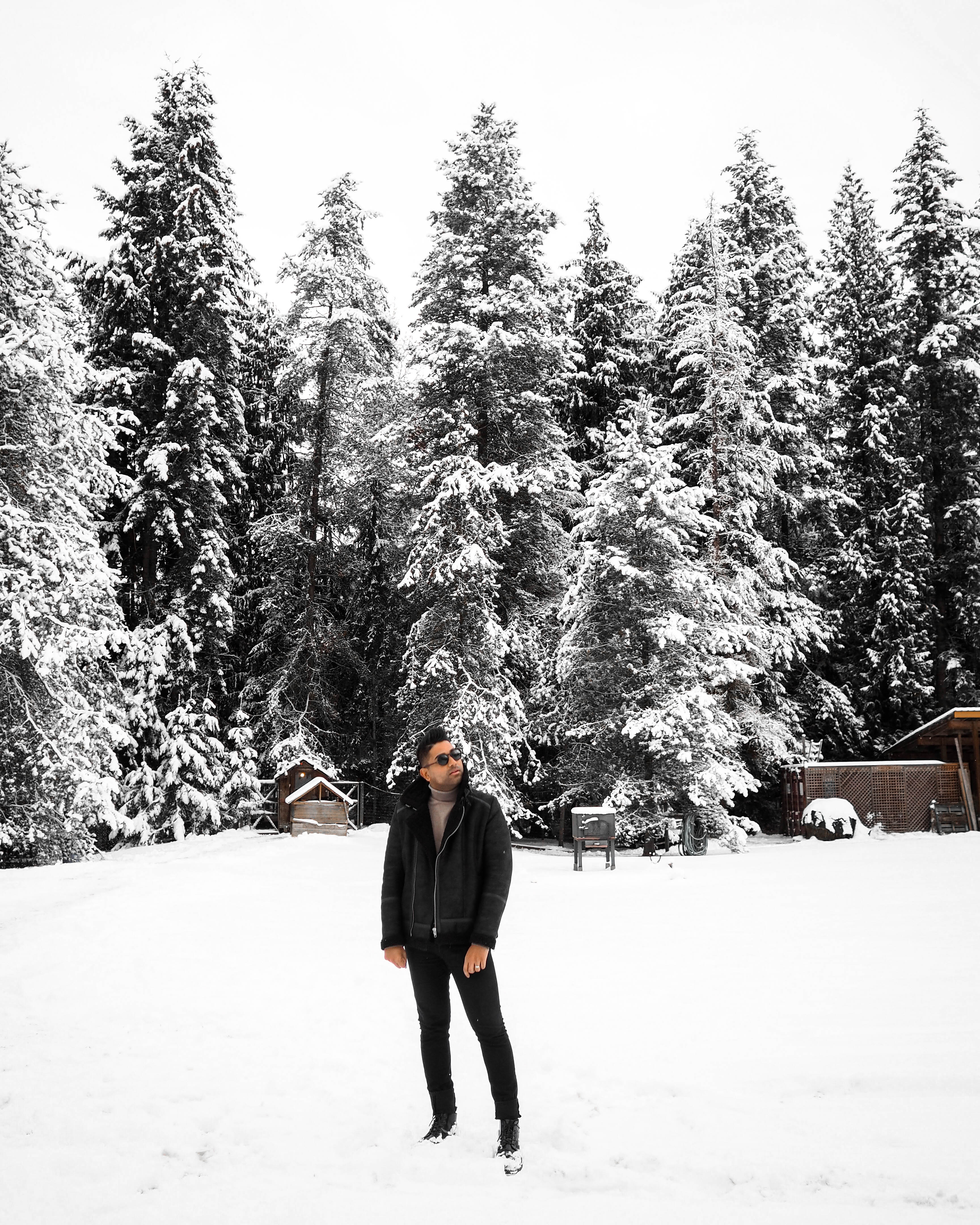 ENDOXIST | Christmas In The Mountains | German Christmas | Toronto Blogger | Cozy Cabin Christmas