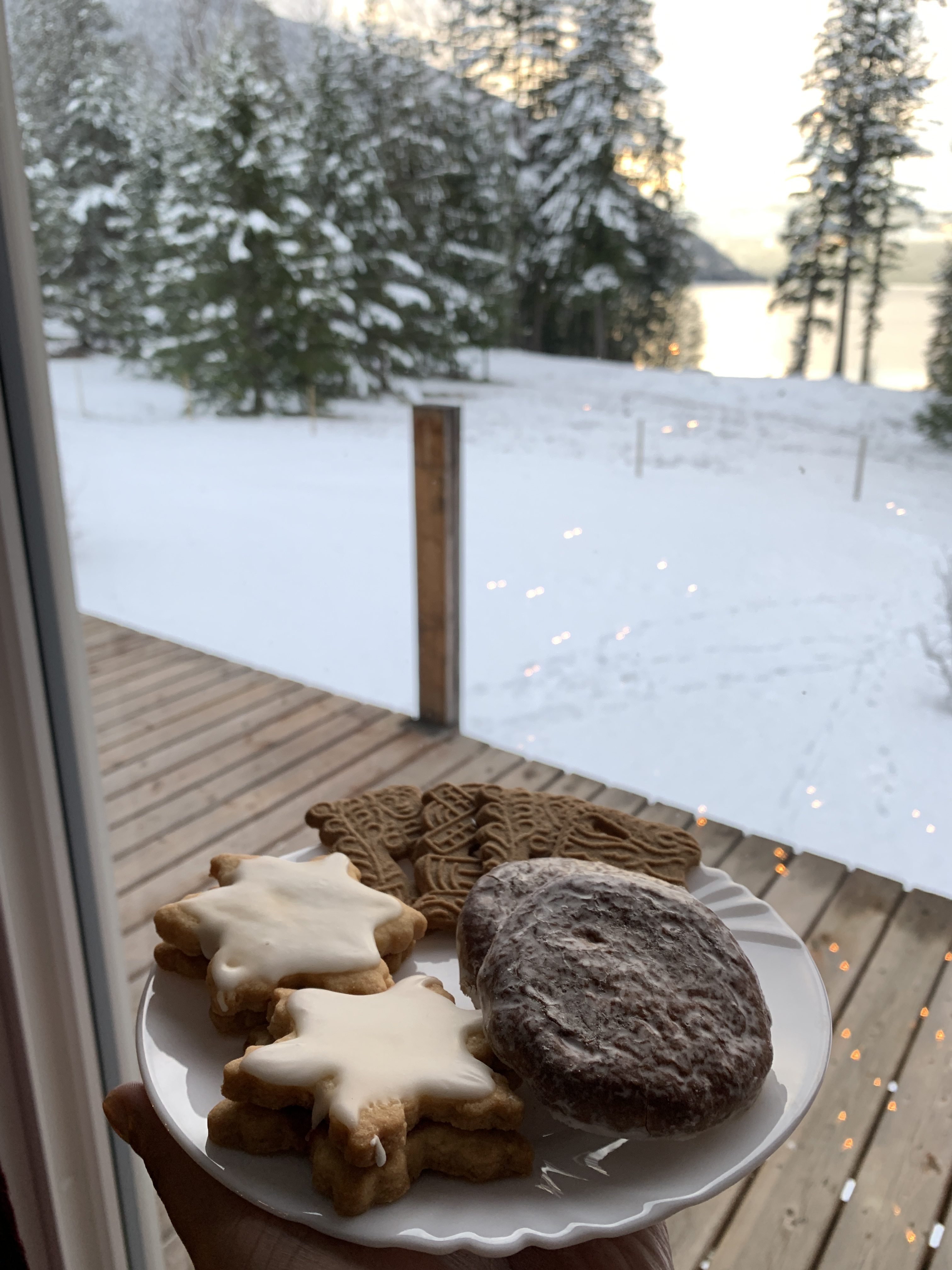 ENDOXIST | Christmas In The Mountains | German Christmas | Toronto Blogger | Cozy Cabin Christmas