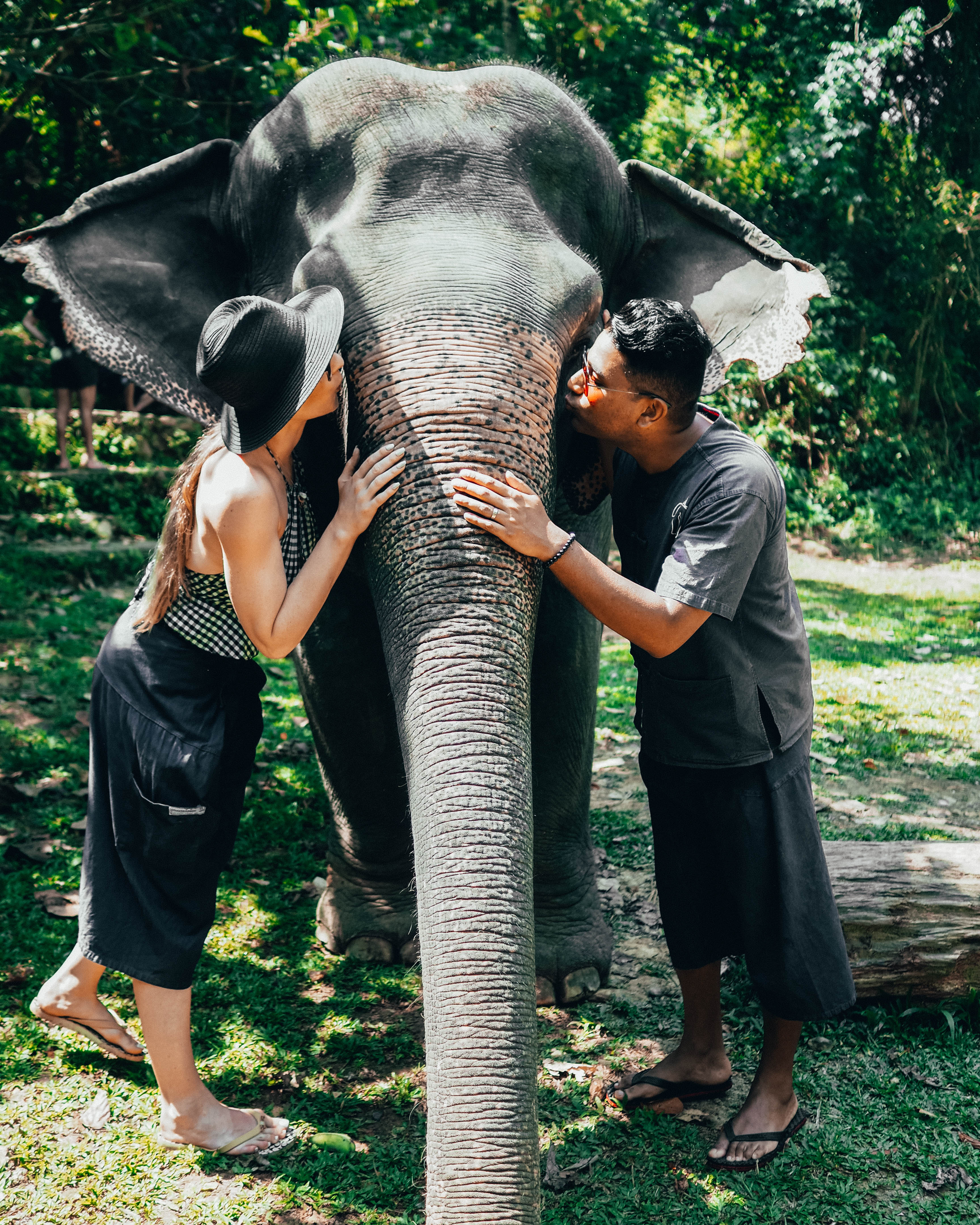 ENDOXIST | Travel Blog Post | Travel Guide | Luxury Thailand | Siam | Travel Itinerary | Phang Nga Elephant Park