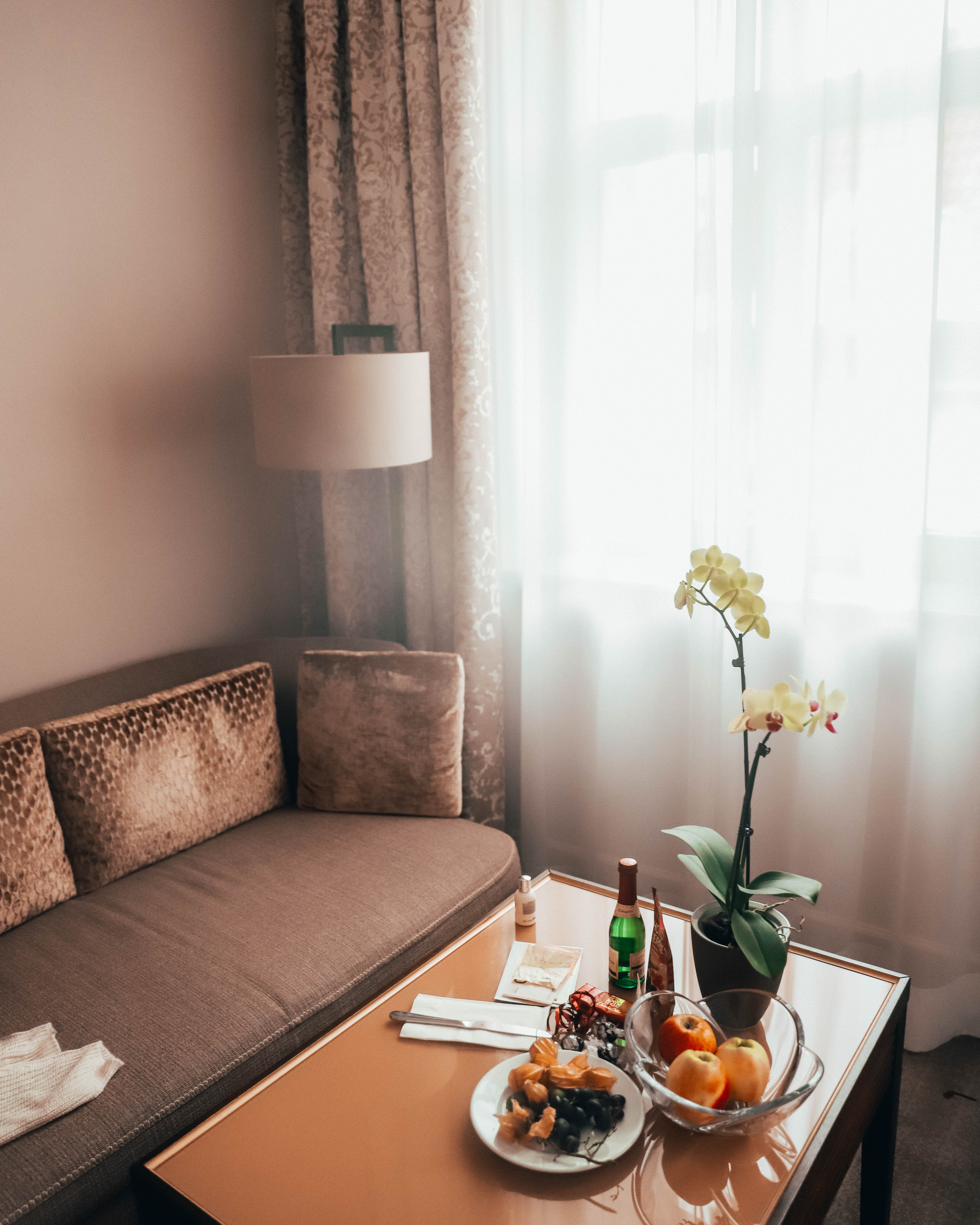 ENDOXIST | World Luxury Hotels | Prague Hotel | Aria Hotel Prague | Hotel Suite Interiors